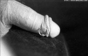 foreskin piercing, intimate piercing